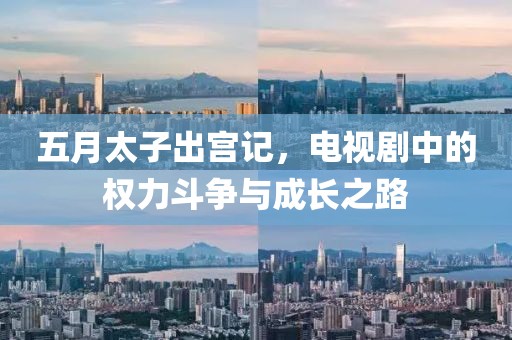 五月太子出宫记，电视剧中的权力斗争与成长之路