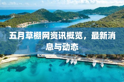 五月草棚网资讯概览，最新消息与动态