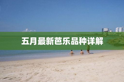 五月最新芭乐品种详解