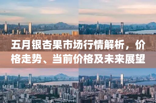 五月银杏果市场行情解析，价格走势、当前价格及未来展望