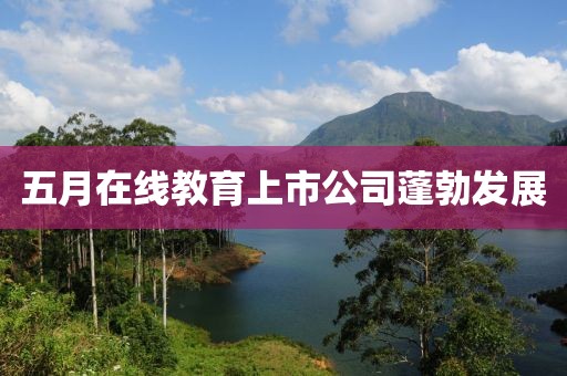 五月在线教育上市公司蓬勃发展