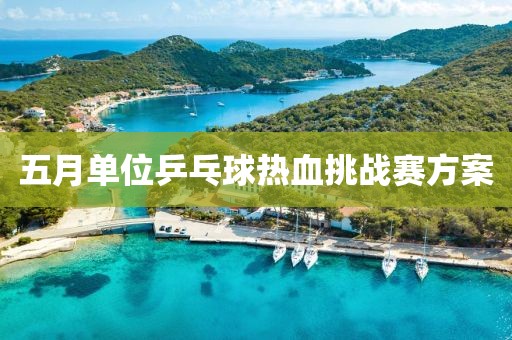 五月单位乒乓球热血挑战赛方案