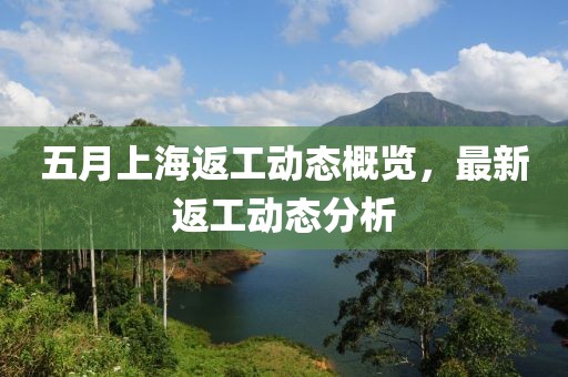 五月上海返工动态概览，最新返工动态分析