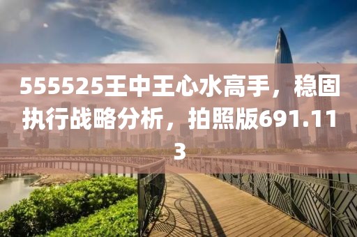 555525王中王心水高手，稳固执行战略分析，拍照版691.113