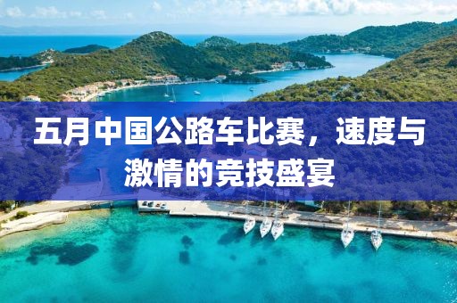 五月中国公路车比赛，速度与激情的竞技盛宴
