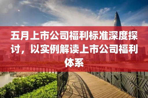 五月上市公司福利标准深度探讨，以实例解读上市公司福利体系