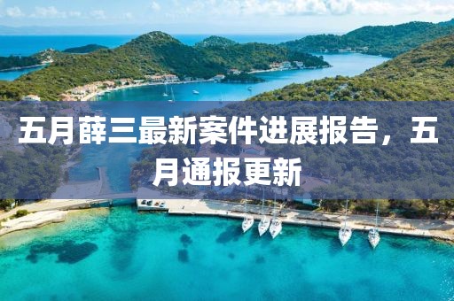 五月薛三最新案件进展报告，五月通报更新