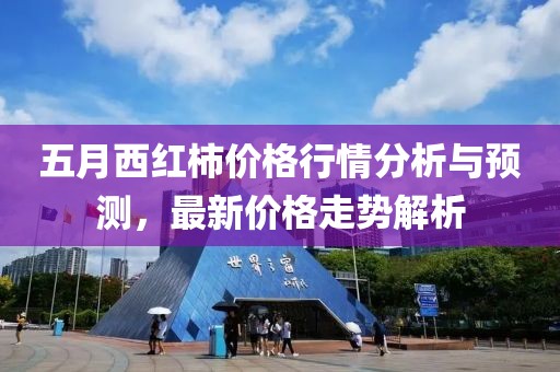 五月西红柿价格行情分析与预测，最新价格走势解析