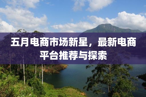 五月电商市场新星，最新电商平台推荐与探索