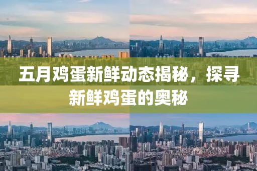 五月鸡蛋新鲜动态揭秘，探寻新鲜鸡蛋的奥秘