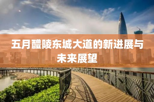 五月醴陵东城大道的新进展与未来展望