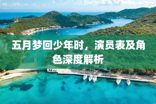 五月梦回少年时，演员表及角色深度解析
