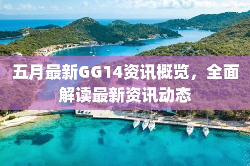 五月最新GG14资讯概览，全面解读最新资讯动态