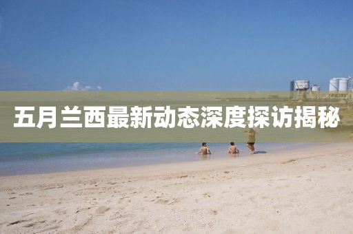 五月兰西最新动态深度探访揭秘