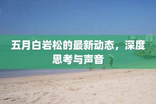 五月白岩松的最新动态，深度思考与声音