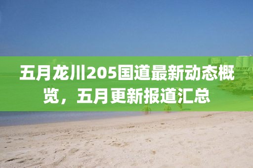 五月龙川205国道最新动态概览，五月更新报道汇总