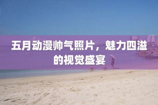 五月动漫帅气照片，魅力四溢的视觉盛宴