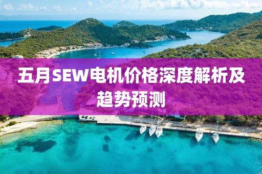 五月SEW电机价格深度解析及趋势预测