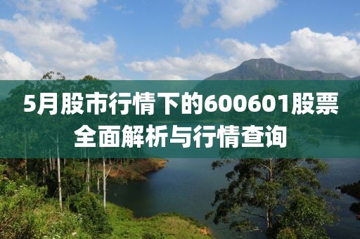 5月股市行情下的600601股票全面解析与行情查询