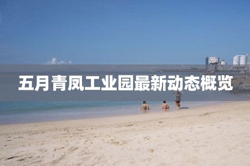 五月青凤工业园最新动态概览