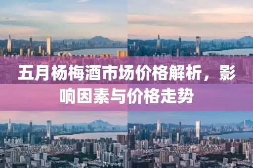 五月杨梅酒市场价格解析，影响因素与价格走势