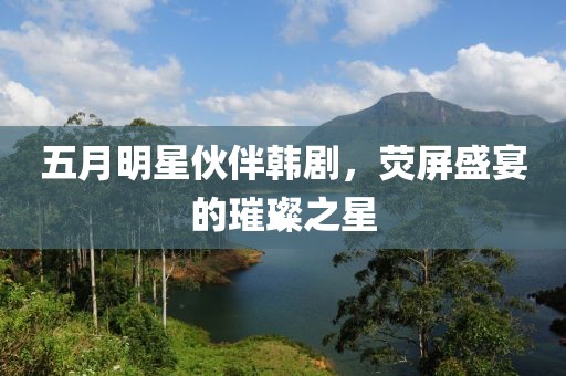 五月明星伙伴韩剧，荧屏盛宴的璀璨之星