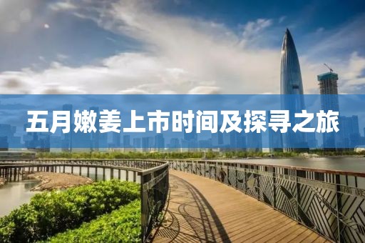 五月嫩姜上市时间及探寻之旅