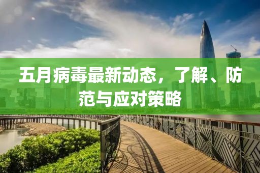 五月病毒最新动态，了解、防范与应对策略