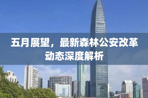 五月展望，最新森林公安改革动态深度解析