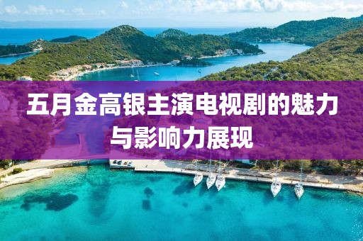 五月金高银主演电视剧的魅力与影响力展现