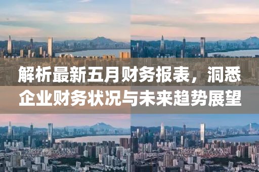 解析最新五月财务报表，洞悉企业财务状况与未来趋势展望