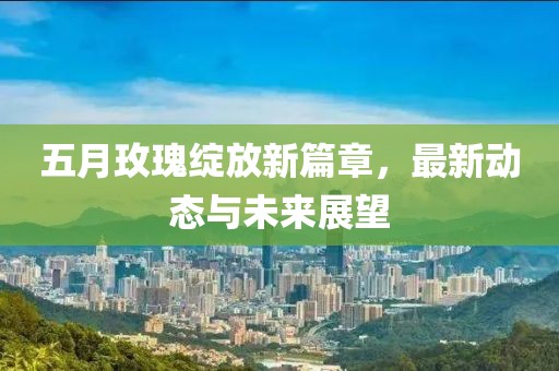 五月玫瑰绽放新篇章，最新动态与未来展望