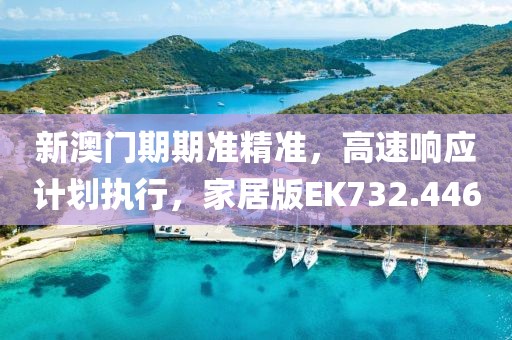 新澳门期期准精准，高速响应计划执行，家居版EK732.446