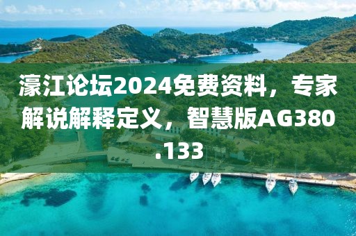 濠江论坛2024免费资料，专家解说解释定义，智慧版AG380.133