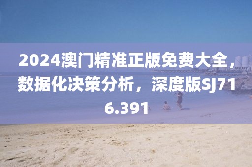 2024澳门精准正版免费大全，数据化决策分析，深度版SJ716.391