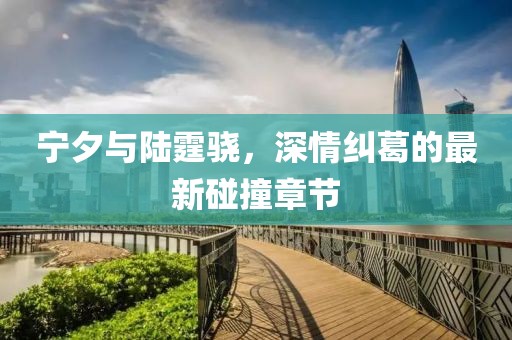 宁夕与陆霆骁，深情纠葛的最新碰撞章节