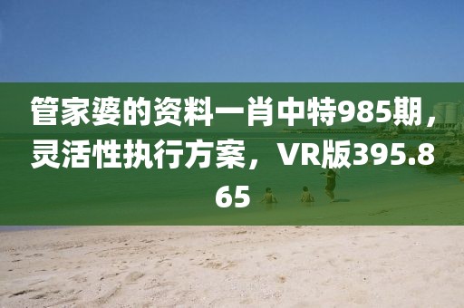 管家婆的资料一肖中特985期，灵活性执行方案，VR版395.865