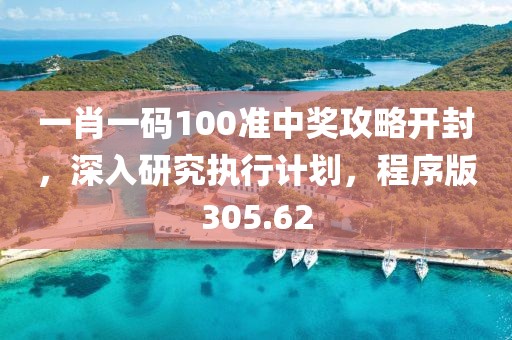 一肖一码100准中奖攻略开封，深入研究执行计划，程序版305.62