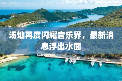 汤灿再度闪耀音乐界，最新消息浮出水面