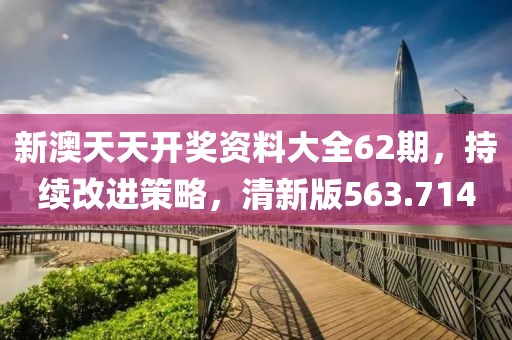 新澳天天开奖资料大全62期，持续改进策略，清新版563.714