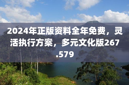 2024年正版资料全年免费，灵活执行方案，多元文化版267.579