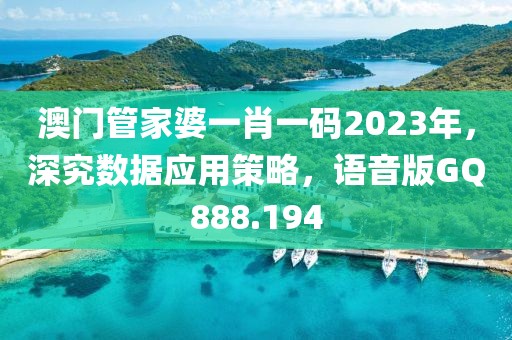 澳门管家婆一肖一码2023年，深究数据应用策略，语音版GQ888.194