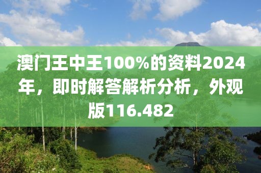 澳门王中王100%的资料2024年，即时解答解析分析，外观版116.482