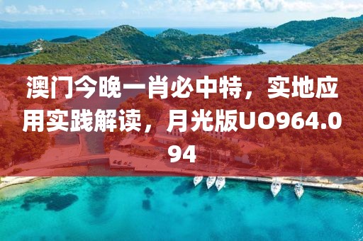 澳门今晚一肖必中特，实地应用实践解读，月光版UO964.094