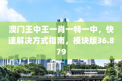 澳门王中王一肖一特一中，快速解决方式指南，模块版36.879