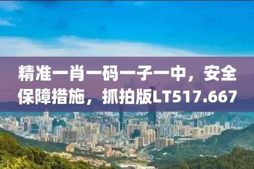 精准一肖一码一子一中，安全保障措施，抓拍版LT517.667