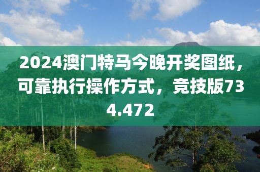 2024澳门特马今晚开奖图纸，可靠执行操作方式，竞技版734.472