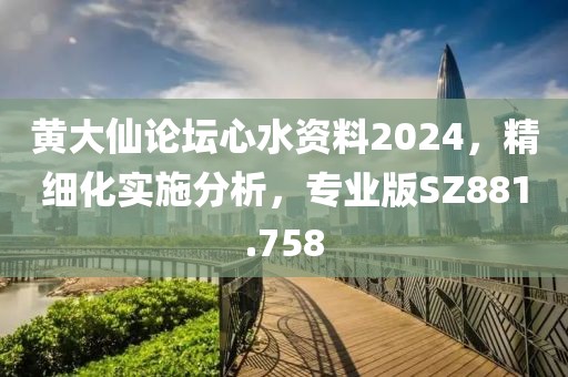 黄大仙论坛心水资料2024，精细化实施分析，专业版SZ881.758