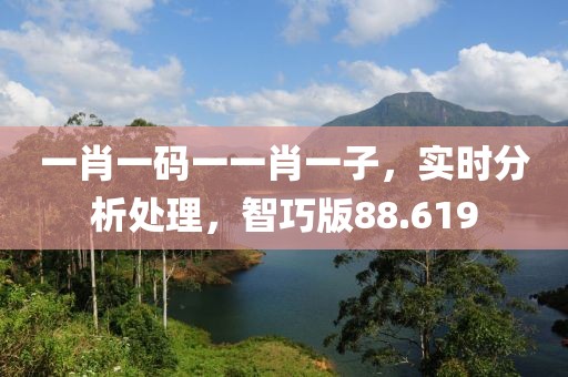 一肖一码一一肖一子，实时分析处理，智巧版88.619