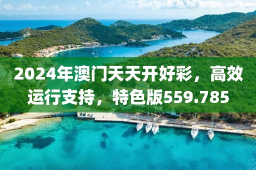 2024年澳门天天开好彩，高效运行支持，特色版559.785